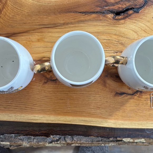 Pier 1: 3 “book club” Gold-Handled zebra & wise owl Print, large Mugs - Picture 6 of 6